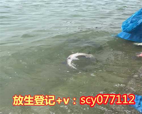 螃蟹在哪里放生比较好，女人梦见抓很多活螃蟹