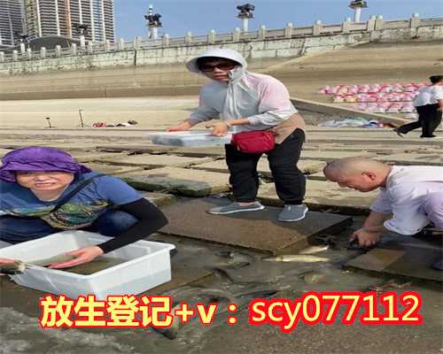 武汉哪里可以放生最好，用剩米饭做早餐，快手简易版武汉豆皮