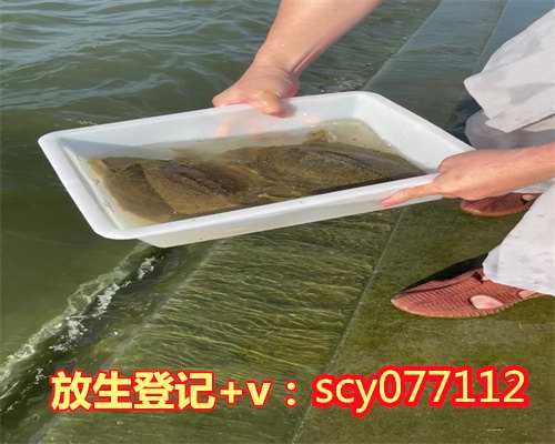 为什么放生鸟功德大的人会死,为什么放生鸟功德大