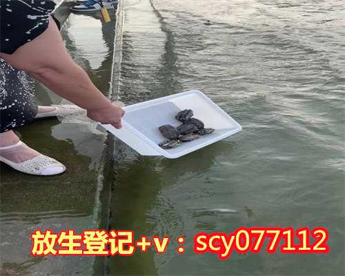 放生狐狸有什么说法，放生说什么话1