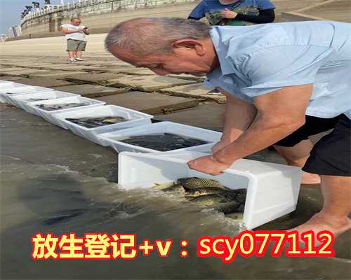 合肥哪里适合放生虾，合肥匡河美洲牛蛙或有意放生专家建议立即消灭