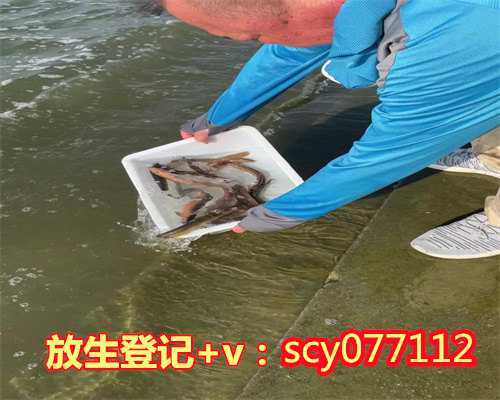 三亚放生后怀孕（三亚放生乌鱼有什么说法）