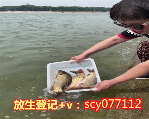 长沙放生园放生鲤鱼，长沙小伙自行孵化1300多条蛇，将于25日放生