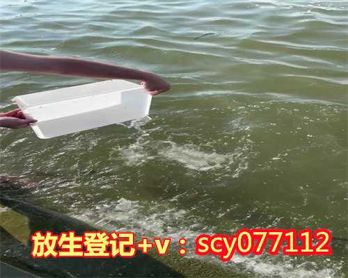 漳州商丘放生群2023，商丘放生群2023，放生在哪个方位