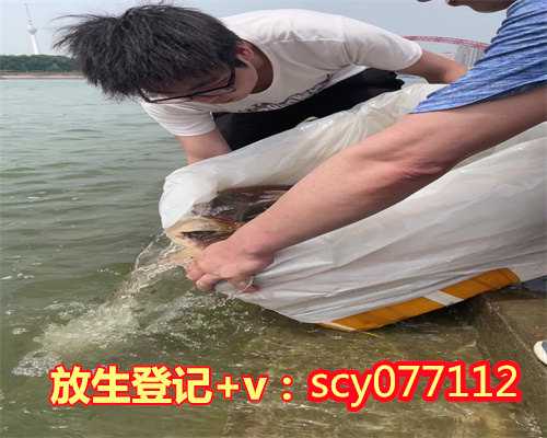 农历五月哪天放生好呢，农历九月十月是什么星座