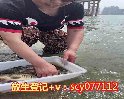 世界上最好的放生是放过自己,世界上最殊胜的放生群