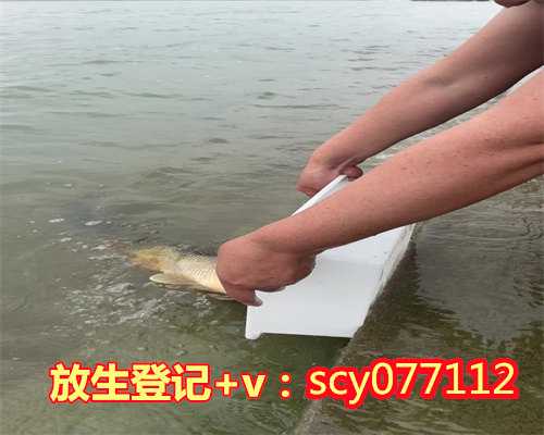 放生水鱼有什么好处，吃枸杞有什么好处