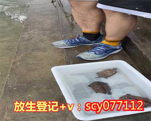 河蟹蟹能放生在江边吗，1376万只鱼蟹苗被放生莱州湾