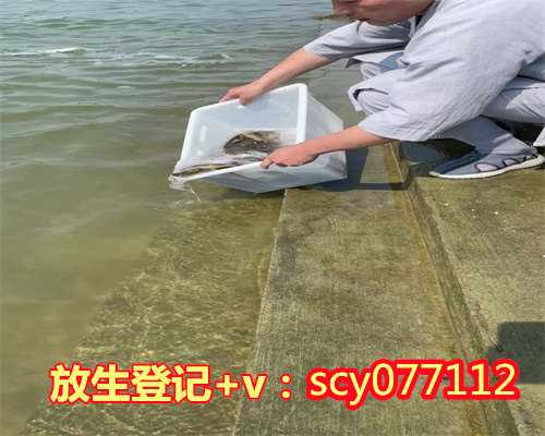 常州放生有何讲究,常州松鼠放生,常州代放生有没有功德