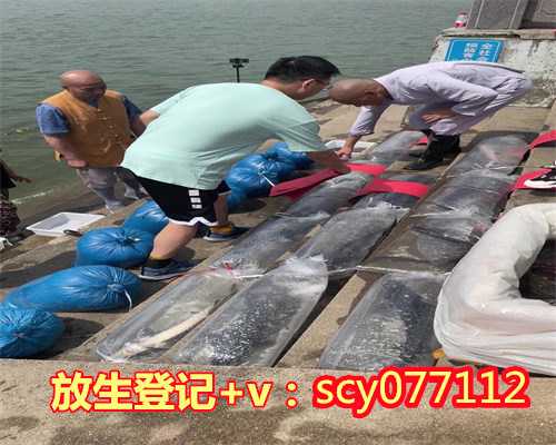 桂林放生法事怎么做，桂林本月适合放生的日子，桂林放生组织联系方式