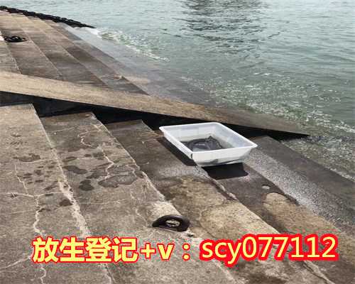 北京大兴可以放生的地方在哪，老北京绿豆糕的做法