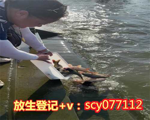 湖州放生的文字,湖州何地可以放生动物,湖州放生方法