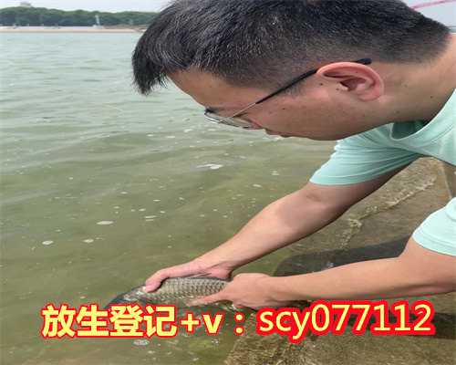 何为放生,亚健康放生什么