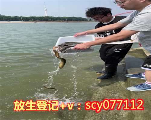 大连放生园放生鹌鹑，武汉、北京、大连，三地疫情发现同一问题！专家解读