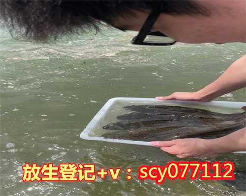 北京哪里放生财鱼最好，北京市放生小组联系方式