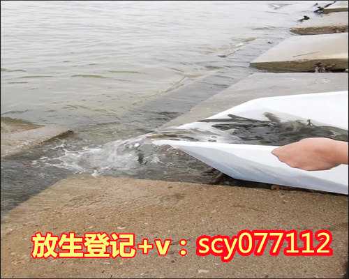 为考生放生的简单放生仪轨是什么,为考生放生的简单放生仪轨