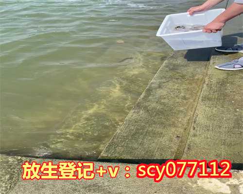 北京哪里放生河蚌最好，胡同没了还是北京吗