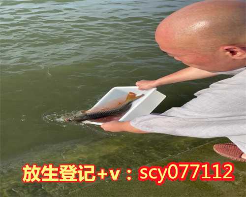 流产放生几条鱼，家里养鱼养几条好呢？