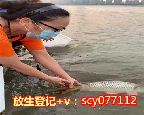 大河里放生的鱼往那边走，钓到一尾大嘎鱼！钓友却选择放生：和黄河的“黄军