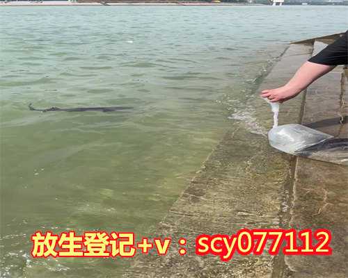 宁德放生后消业障的表现,宁德周边哪里最适合放生甲鱼,宁德放生听的佛歌有哪