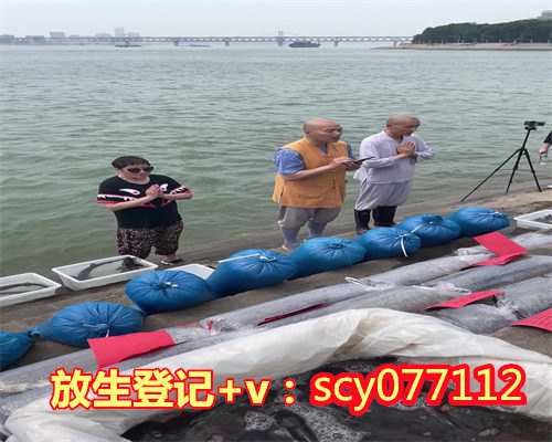 63岁买红鲤鱼放生好吗，好心市民3000元买下“娃娃鱼”并将其放生