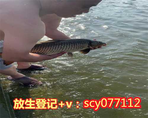 做人流后可以放生吗西宁,西宁什么地方可以放生刺猬【放生田螺对生态环境的