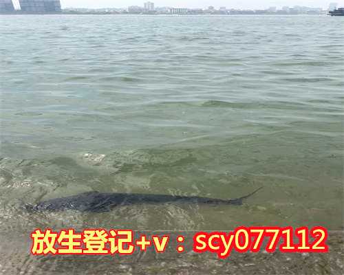 厦门野鸡放生地点，【放生通知】华智菩提厦门放生小组2015年7月5日放生通知