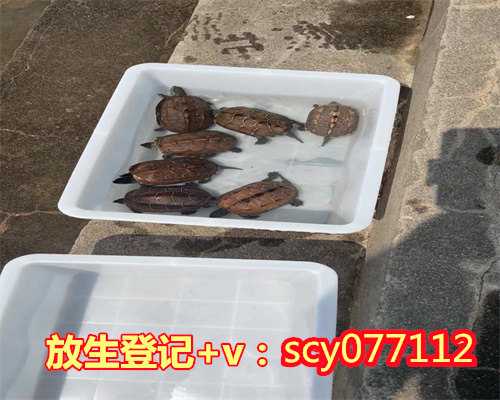 万善先资：放生文（放生功德文疏）