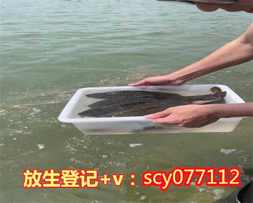 为什么放生后反而生病，我们为什么要放生呢？