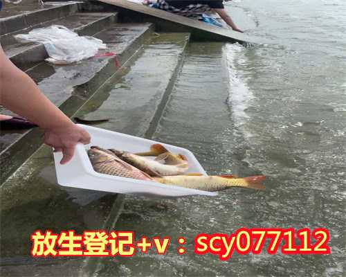 乌龟可以找人代替放生吗为什么，乌龟可以找人代替放生吗