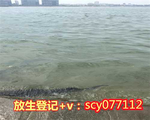 小龙虾可以放生，祭湖放生祈愿鱼虾满舱