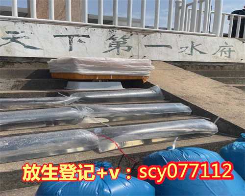 全年最佳放生时间表文库,全年最佳放生时间表