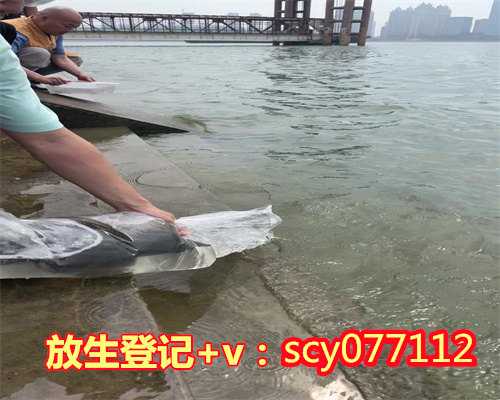 人流后放生鱼,要放生什么鱼?,为什么人流后要放生鱼