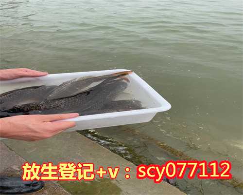 乌龟放生几月份最合适，93年鸡2023年结婚几月份最好