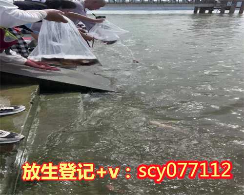 为孩子中考放生说什么，为什么要戒杀放生