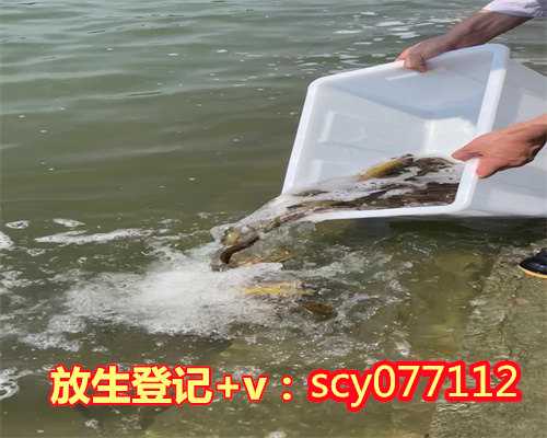 哪些网站可以网上放生，生活中注意哪些可以预防老年痴呆呢？