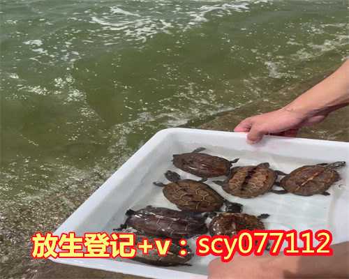 乌鲁木齐放生鱼的地方，乌鲁木齐到哪里放生好