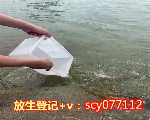 乌龟能放生到长江里吗，从风水学上讲，家里养乌龟好吗