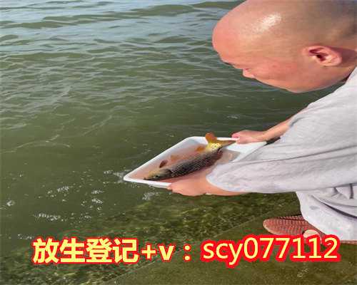 宠物兔放生，兔年自己生日放生兔子好吗