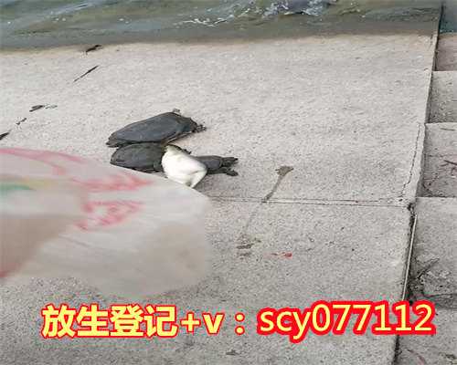 东莞凤岗附近哪里可以放生,东莞在哪里放生