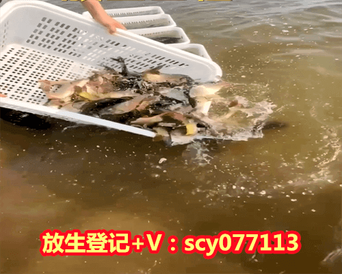 流产放生如何回向孩子，如何说,孩子才会听,怎样听,孩子才会说ppt