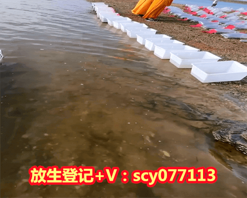 2023年放生节，2023年发横财的生肖