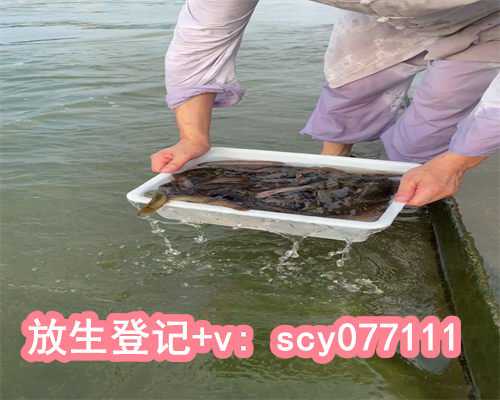 放生感悟美文中山不方便放生可以请别人帮忙吗【生鸡放生是什么意思】